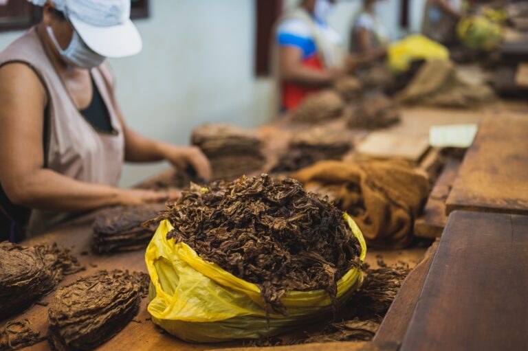 tobacco market